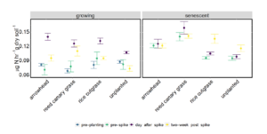 Plot displays potential denitrification rates for different plant treatments, which are parsed by growth stage (i.e., growing and senescent) and nitrate enrichment status.
