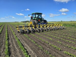 BUFFALO CULTIVATOR 