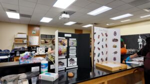 Dung beetle booth with posters and displays at the outreach event