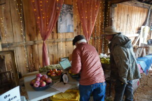 Two visitors reading a DNA report from a heritage orchard.