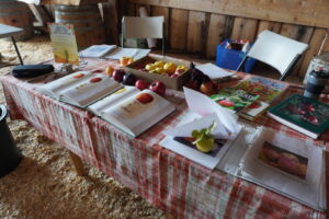 Apple Identification Workshop booth displaying apples to be identified.