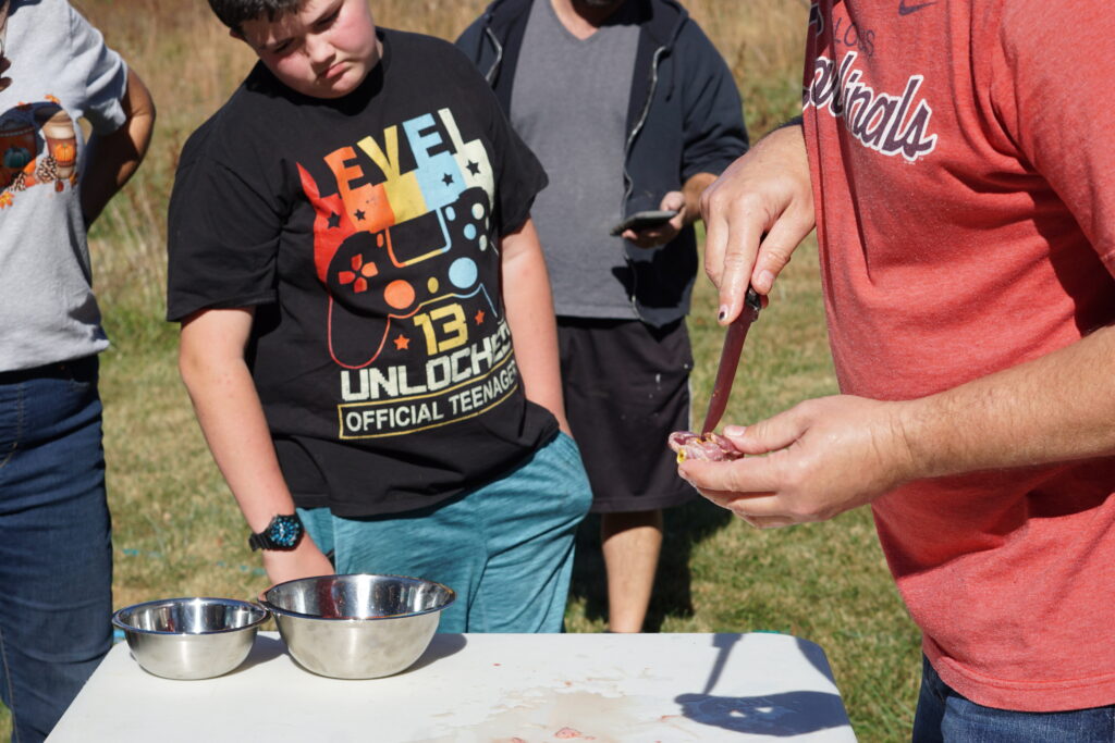 Showing parts of the chicken