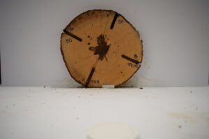 Figure 2. Photographed cross section showing the NCW generated from each treatment