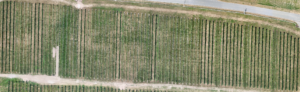Drone Map