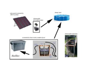 Shrimp Tank Components