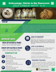 2023 4-H Embryology Program Marketing Flyer