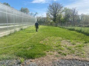 Ethnic crop garden- before