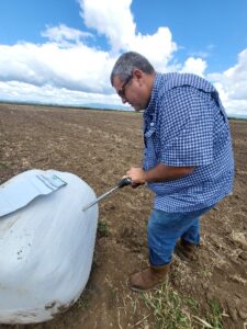 Sorghum quality evaluation