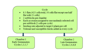 Figure 1. Experimental setup for freezing tolerance phenotyping in controlled-environment growth chambers