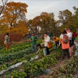 Farm Connect Event