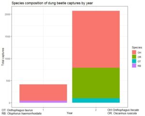 Species composition of beetle captures across years