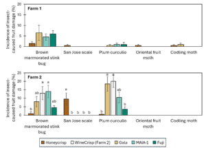 Bar charts showing fruit damage incidence caused by brown marmorated stink bug, San Jose scale, plum curculio, oriental fruit moth, and codling moth in mature fruit of different apple cultivars harvested at Farms 1 and 2