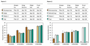 Tables showing the time of key stages of flower bud development for different apple cultivars in 2025 (project year 2) and bar charts showing king fruit size increase in May 2025