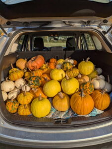 FNC23-1393 - Future Pumpkin Plans: Back to One acre, use compost system