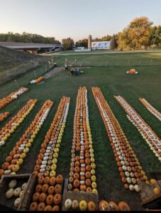 FNC23-1393 - Harvest Across Varieties