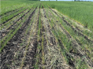 FIELD M1–06/01/2023