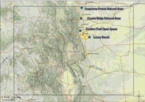 study map