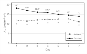 Daily net photosynthesis (Anet) of old strawberry (Fragaria × ananassa) ‘Ozark Beauty’ leaves grown under an ambient (450 µmol∙mol–1; open circles) or enriched (900 µmol∙mol–1; filled circles) CO2 concentration for 7 d. Means sharing a letter within each CO2 concentration (denoted by upper and lowercase letters) are not statistically different according to Tukey’s honestly significant difference test at P ≤ 0.05. Asterisks indicate significant differences according to Tukey’s honest significant difference test at P ≤ 0.05 between CO2 treatments on a given day.