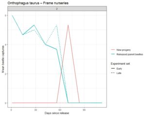 Graph showing performance of Onthophagus taurus in frame nurseries