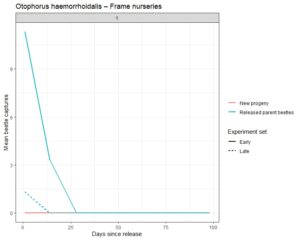 Graph showing Otophorus haemorrhoidalis captures from frame nurseries