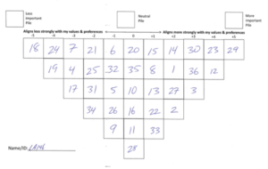 Q sort 1
