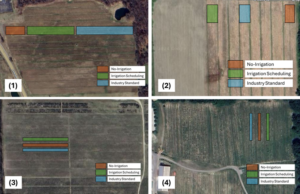 Plot design
