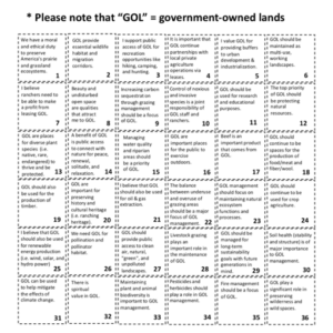 Q sort 2