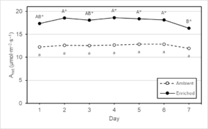 Daily net photosynthesis (Anet) of old strawberry (Fragaria × ananassa) ‘Albion’ leaves grown under an ambient (450 µmol∙mol–1; open circles) or enriched (900 µmol∙mol–1; filled circles) CO2 concentration for 7 d. Means sharing a letter within each CO2 concentration (denoted by upper and lowercase letters) are not statistically different according to Tukey’s honestly significant difference test at P ≤ 0.05. Asterisks indicate significant differences according to Tukey’s honest significant difference test at P ≤ 0.05 between CO2 treatments on a given day.