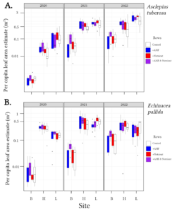 Figure 6: Per capita plant size based on estimated leaf areas for Asclepias tuberosa (A) and Echinacea pallida (B).