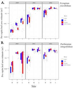 Figure 7: Per capita plant size based on estimated leaf areas for Eryngium yuccifolium (A) and Parthenium integrifolium (B).