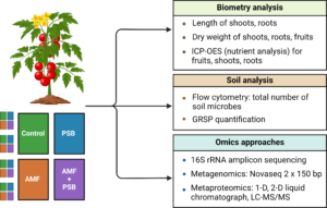 Fig2_OveralResearchDesign