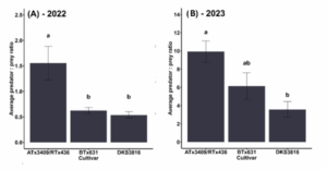Figure 1: Natural enemy recruitment to aphid-infested plants. Letters above bars indicate significant differences among varieties (p<0.05). 