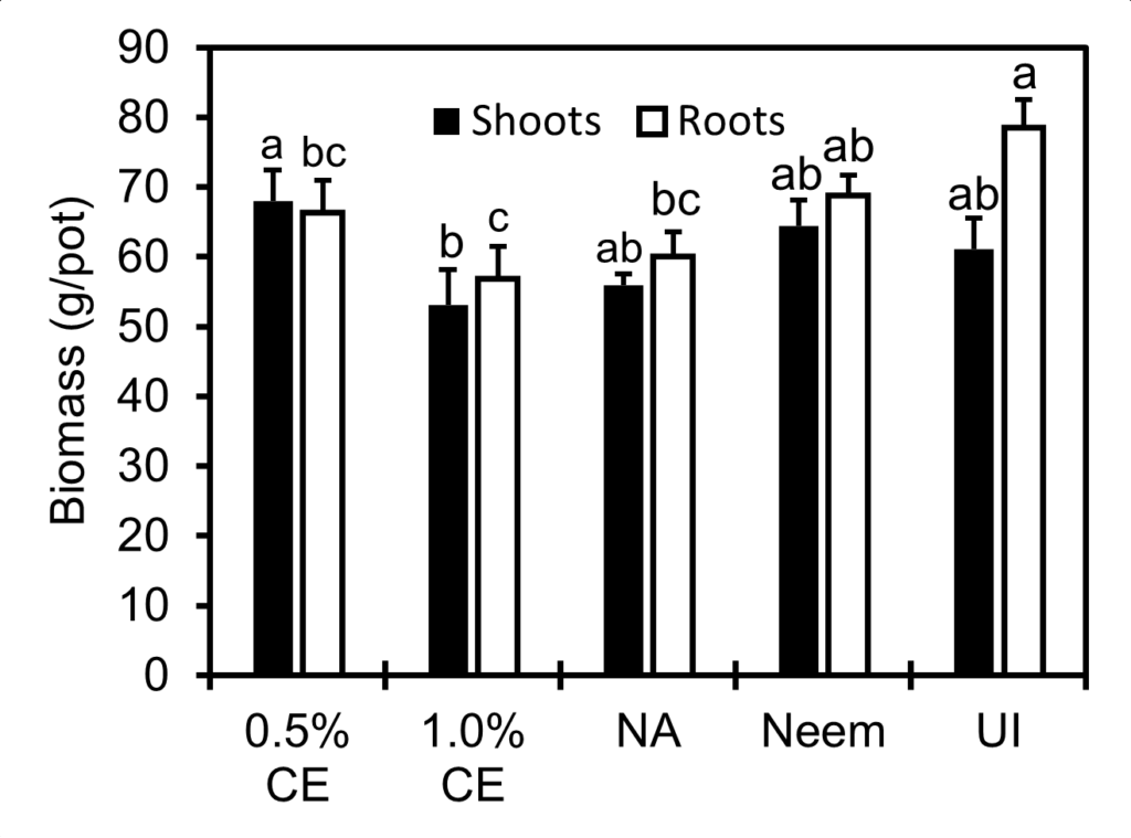 Bar graph showing shoot and root biomass (g/pot) across five treatments: 0.5% CE, 1.0% CE, NA, Neem, and UI. Shoots (black bars) and roots (white bars) are displayed side by side for each treatment. Letters above bars indicate statistical groupings.