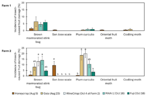 Bar chart showing the incidence of insect-caused fruit damage of 4 apple cultivars in Farm 1 and 5 cultivars in Farm 2