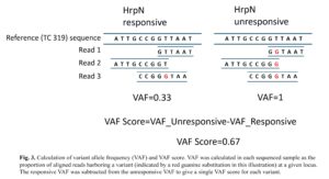 Fig3_VAF