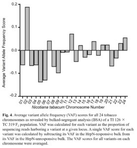 Fig4_Chrs