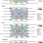 Fig5_Network2