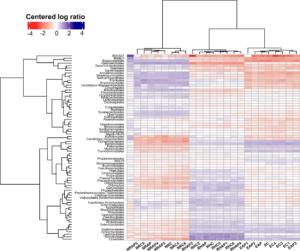 Fig8_PhyloflashHeatmap