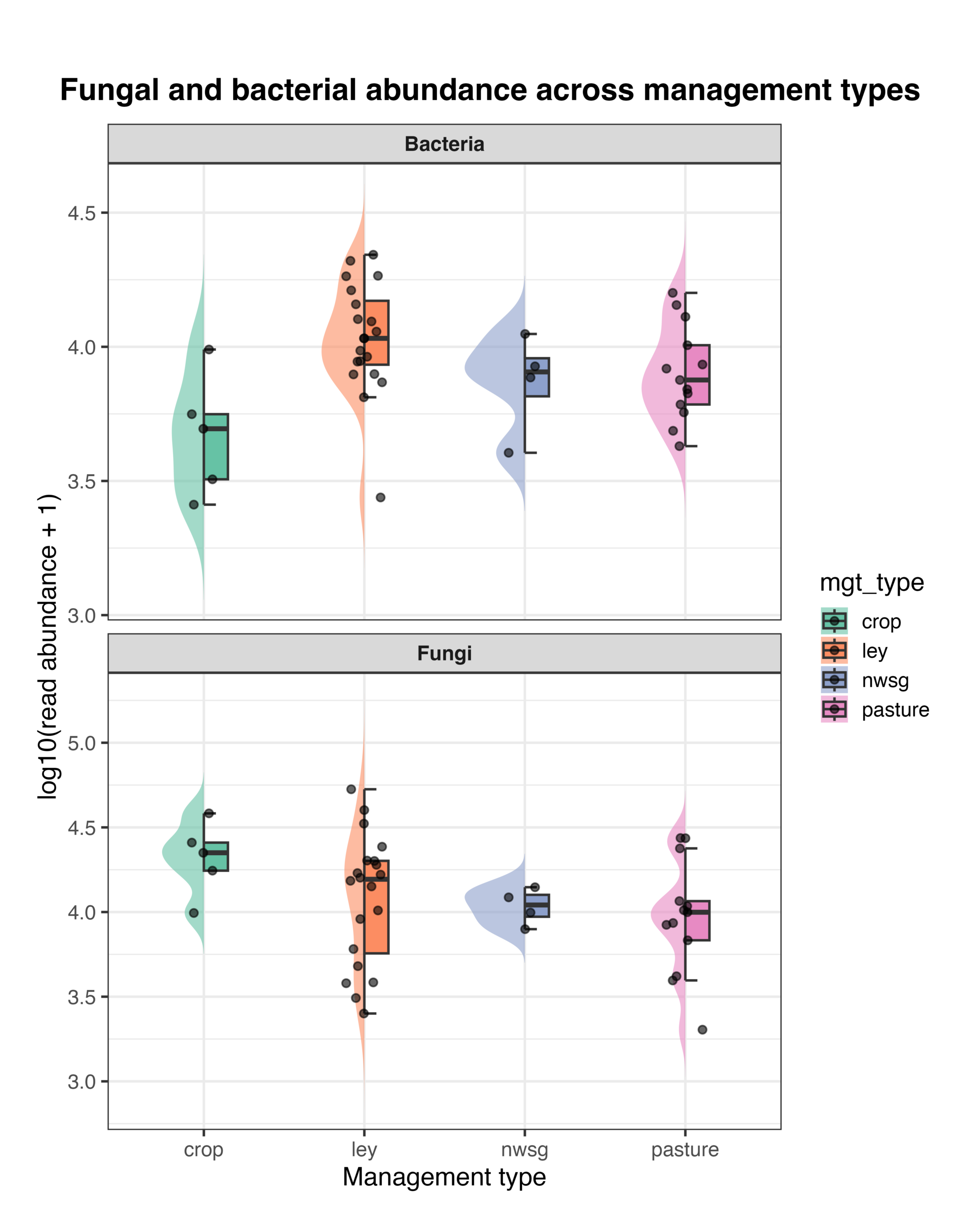 Distribution of bacterial and fungal read abundance across management types shown as raincloud plots (log10 read abundance +1).