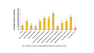 Wireworm mortality caused by different treatments in greenhouse study.
