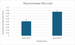 Bar graph showing a larger proportion of flies carrying macrochelid mites at temperatures above 25C