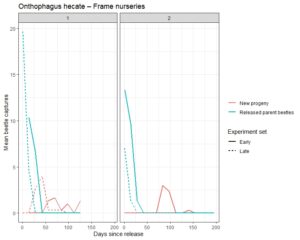 Graph showing Onthophagus hecate captures from frame nurseries