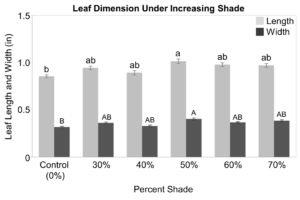 Graph showing increased leaf size when plants were shaded