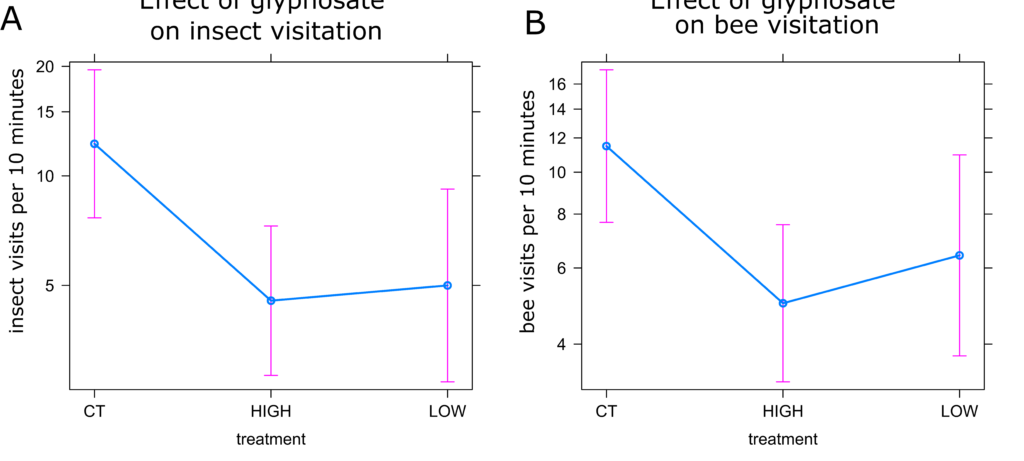 Graphs showing insect visitation and bee visitation to control ,low dose and high dose plants in glyphosate experiment. Visitation of both bees and insects was lowest in high dose plants.