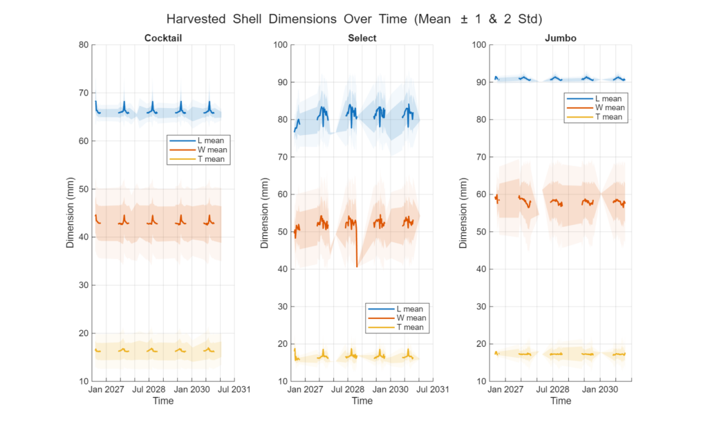 Figure 31: Expected shapes of harvested oysters. Line shadows represent 1 and 2 standard deviations respectively.