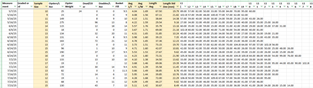 Figure 38: Oyster measurement spreadsheet snippet