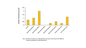 Number of wireworms collected from each plot that treated with different mustard treatments in dryland field trial.