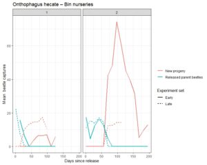 Graph showing Onthophagus hecate captures from bin nurseries