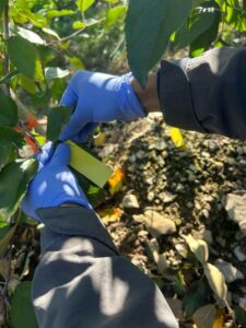 Water Sensitive Paper