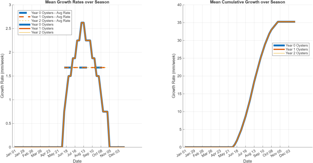 Figure 41: Instantaneous and cumulative oyster length growth over the season as inputted to the production model and estimated from measured farm data.